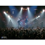 ������� � [AMATORY]! | ����