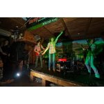 Animals' Session - ������� �������� �� ����� � ������� | ����