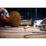 ����: ������� ����� �8, ���� ������ | ����
