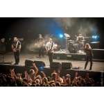 ����: Guano Apes � ����������� | ����