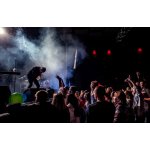 ������ Stereoplen ������� �������� ������ �� ����� | ����