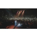 ��������. 10 ���� � ��������� ������ ������ | ����
