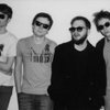 ��� � ������� #39. The Dontpaniks