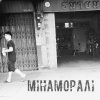 ̳���������