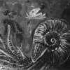 Ammonite