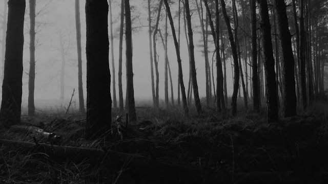 WENTSEAT - �onflict (Official Lyric Video)